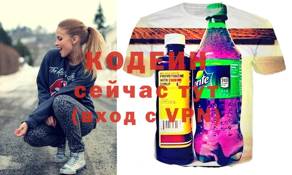 ECSTASY Алзамай