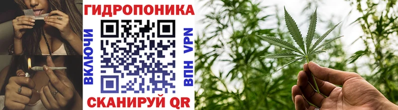 Шишки марихуана план  Чаплыгин 